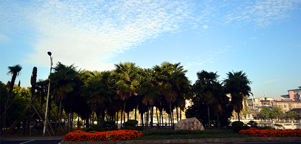 長江大學(xué)文理學(xué)院 - 最美大學(xué)