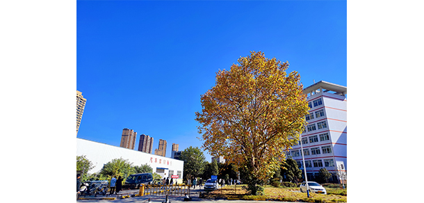 荊州理工職業(yè)學院 - 最美大學