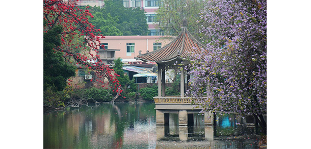 廣州航海學(xué)院 - 最美大學(xué)