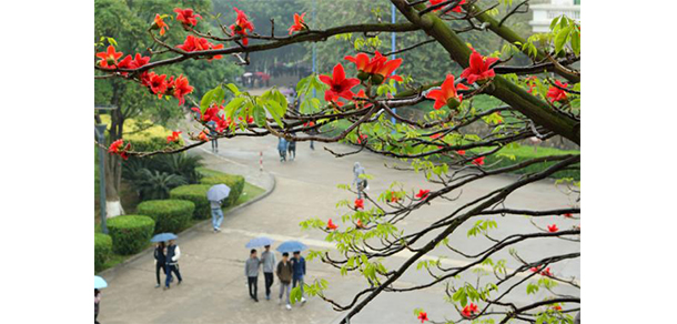 廣東東軟學(xué)院 - 最美大學(xué)