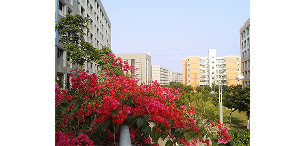 北京理工大學珠海學院