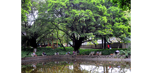 廣東第二師范學(xué)院 - 最美大學(xué)