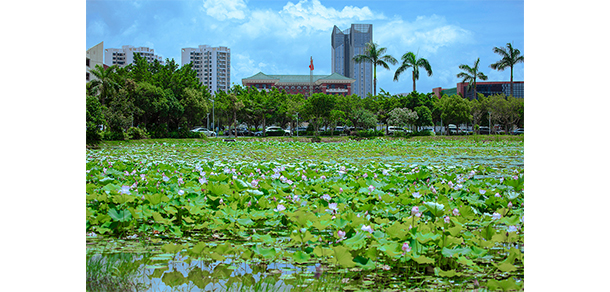 珠海城市職業(yè)技術(shù)學(xué)院