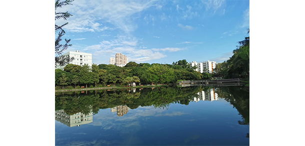 深圳職業(yè)技術(shù)學(xué)院