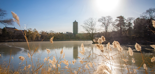 北京大學(xué)