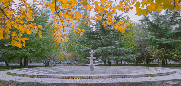 北京工商大學 - 最美大學