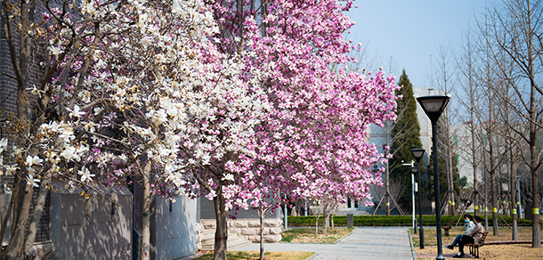 北京石油化工學(xué)院 - 最美大學(xué)