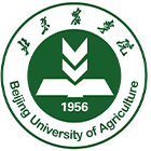 最美大學(xué)