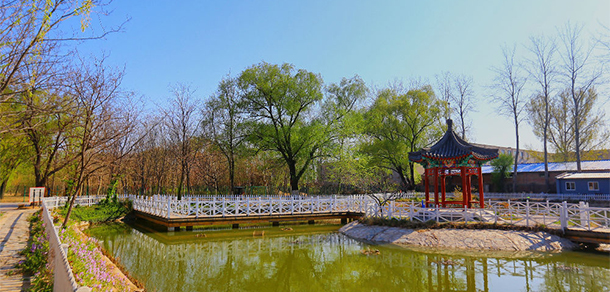 北京農學院 - 最美大學