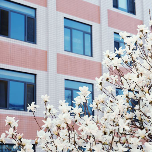 陌上花開