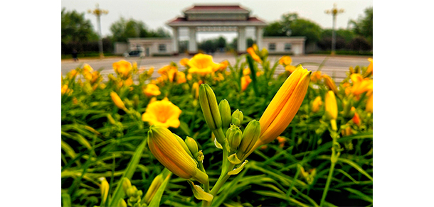 中國消防救援學院 - 最美大學