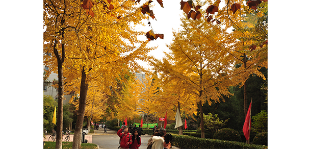 中國(guó)勞動(dòng)關(guān)系學(xué)院 - 最美大學(xué)