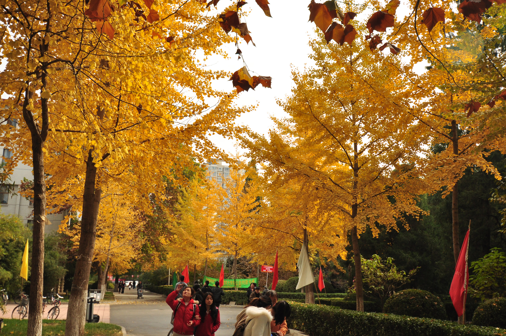 中國勞動關(guān)系學院-校園風景