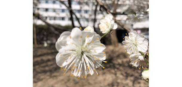 北京體育職業(yè)學院