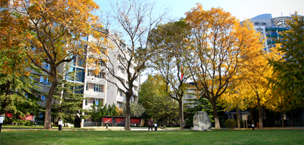 北京青年政治學院