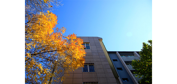 北京青年政治學院