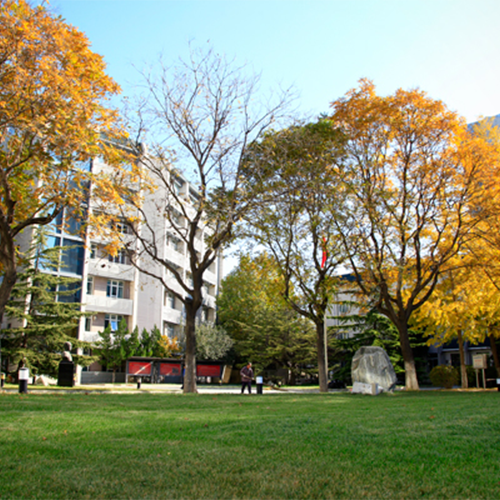 北京青年政治學院-大學文化