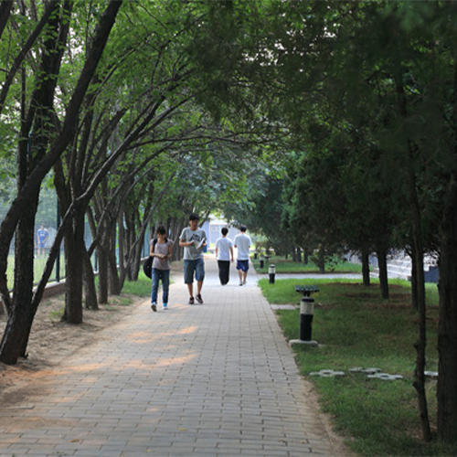 北京青年政治學院-最美校園