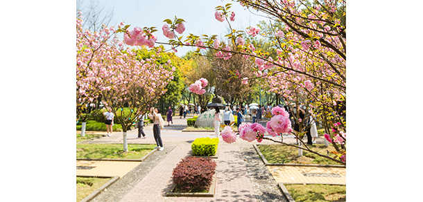 西南政法大學(xué)