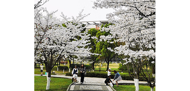 西南政法大學(xué)