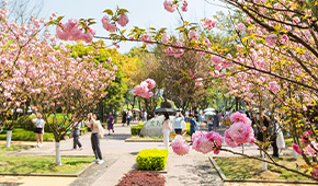 西南政法大學(xué)-校園風(fēng)光