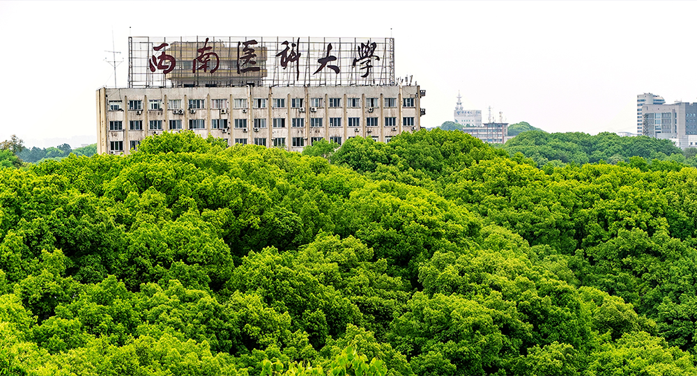 我的大學(xué) - 我的萬(wàn)水千山