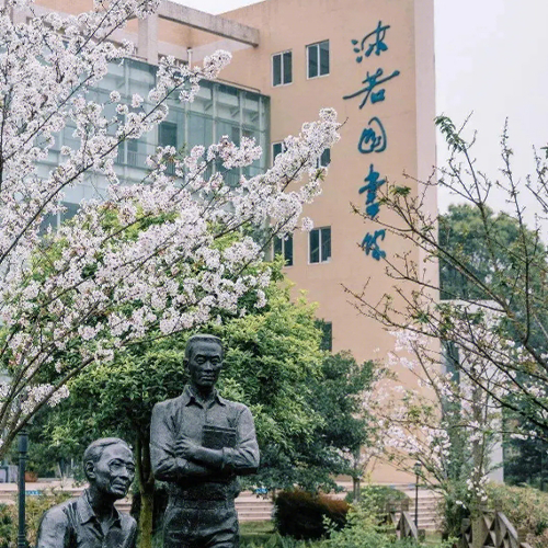 我的大學(xué)