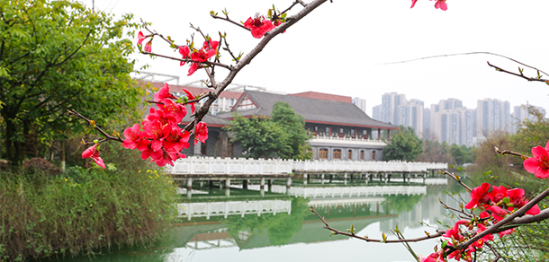 成都工業(yè)學院 - 最美大學