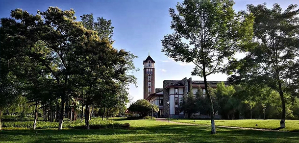 成都東軟學院