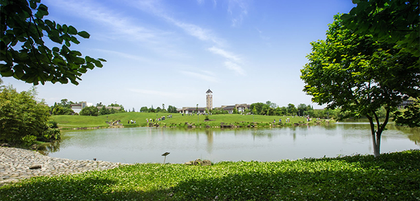 成都東軟學院