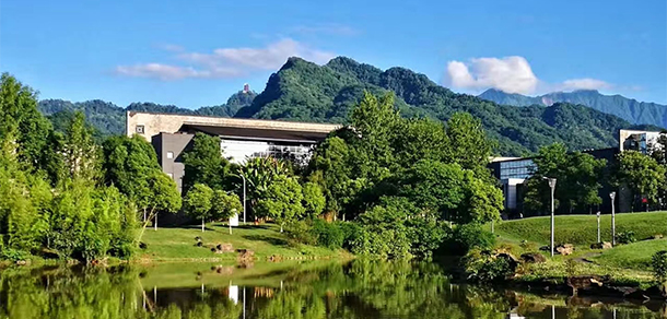 成都東軟學院