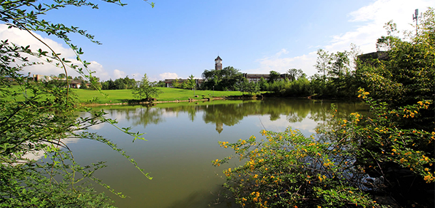 成都東軟學院