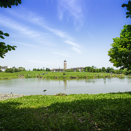 成都東軟學(xué)院 - 風(fēng)起四海，各自珍重