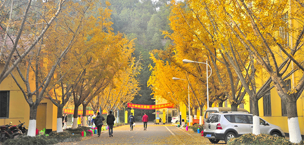 成都理工大學工程技術學院