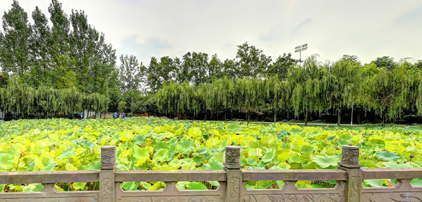 四川傳媒學(xué)院 - 最美大學(xué)