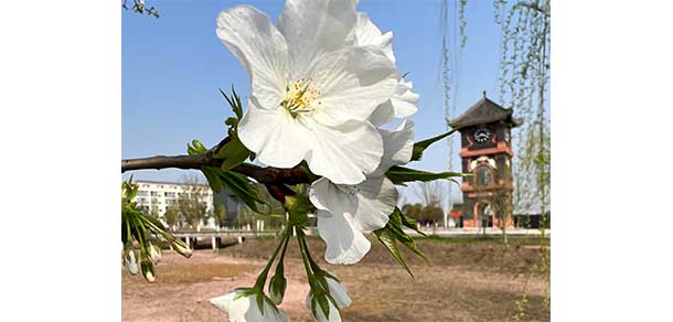 資陽口腔職業(yè)學(xué)院