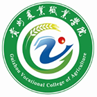 最美大學(xué)