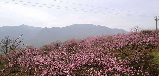 黔南民族職業(yè)技術(shù)學(xué)院 - 最美大學(xué)