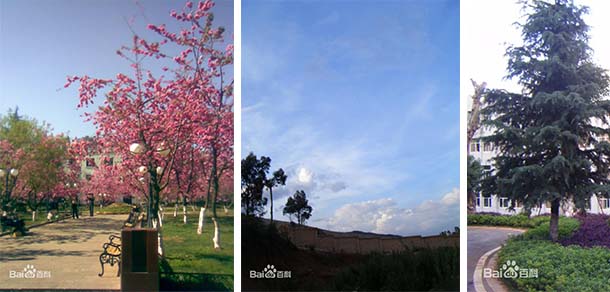 云南警官學(xué)院 - 最美院校