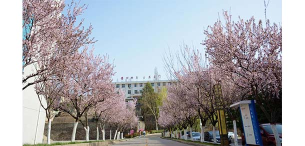 商洛學院