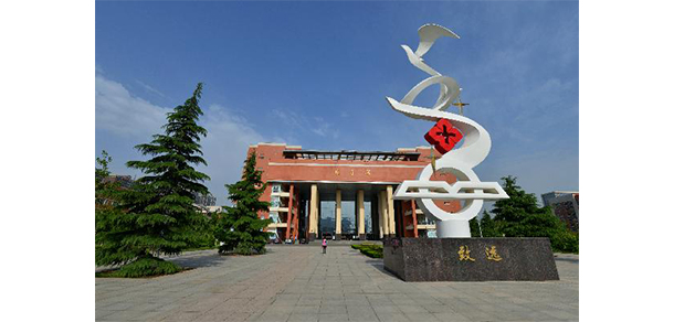 我的大學(xué)-大學(xué)志