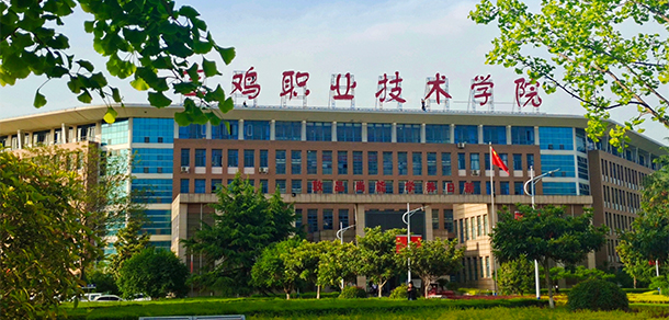 我的大學(xué)-大學(xué)志