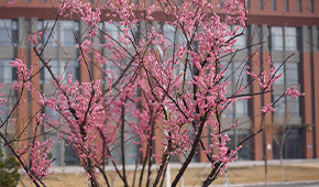 河北工程大學(xué)