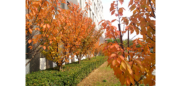 山西建筑職業(yè)技術(shù)學(xué)院