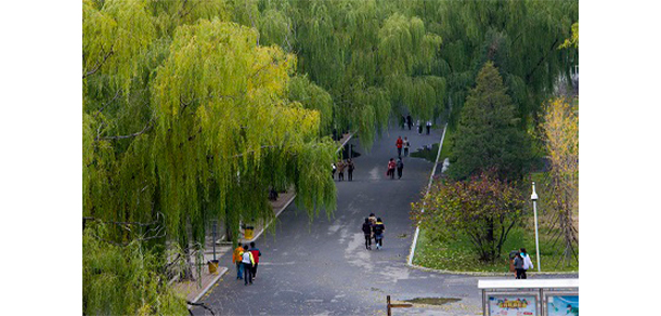 沈陽職業(yè)技術(shù)學院 - 最美大學