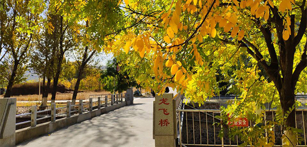 大連裝備制造職業(yè)技術(shù)學(xué)院