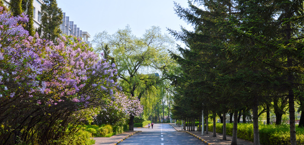 我的大學(xué)-大學(xué)志