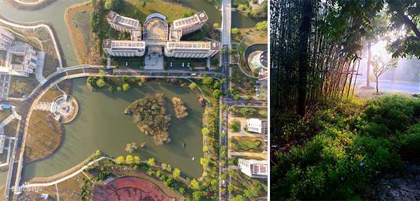 上海海關學院