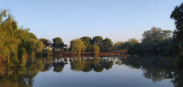 上海海關(guān)學(xué)院 - 最美大學(xué)