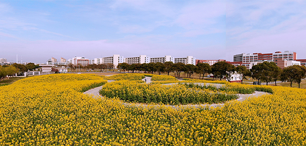 華東理工大學(xué)